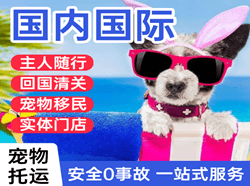 徕宁机场快递国际宠物托运 【国